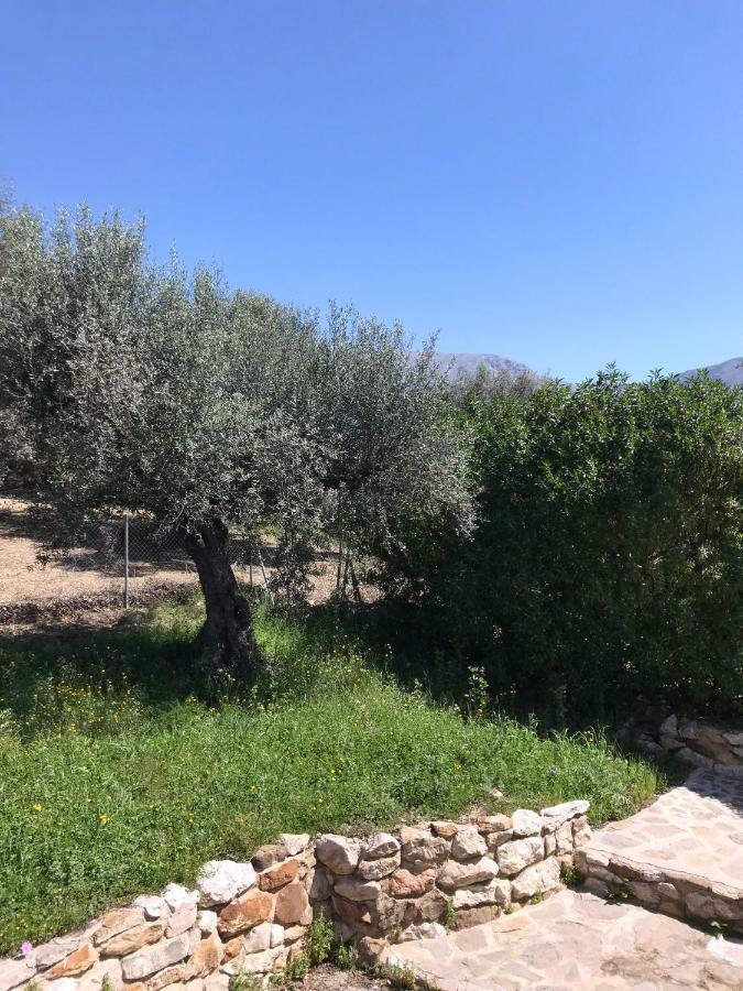 Villa Zahar Periana Exterior foto